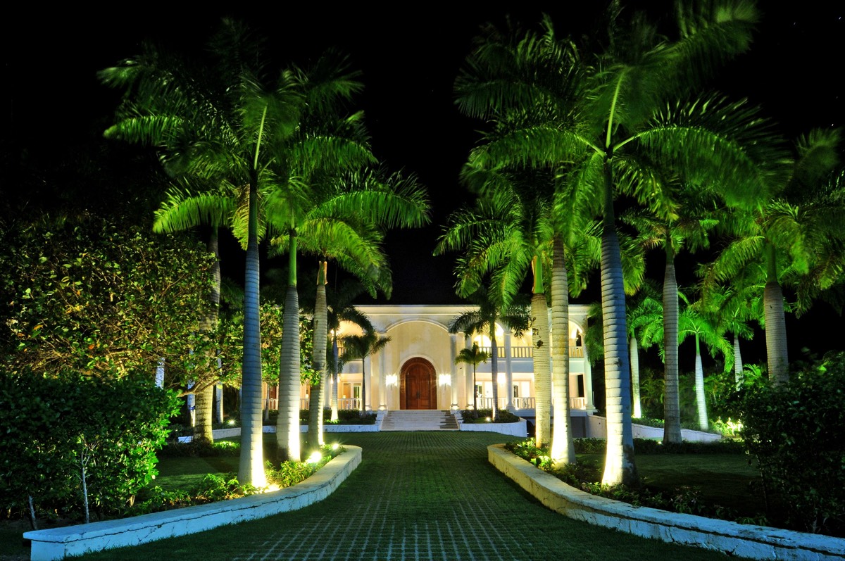 Estate driveway at night with uplit palms